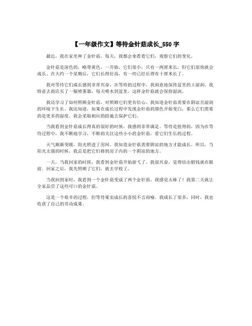 【一年级作文】等待金针菇成长_550字