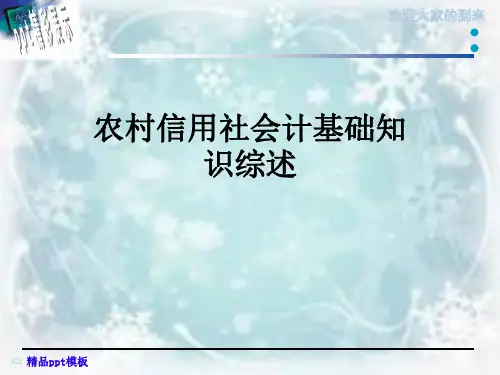 农村信用社会计基础知识综述