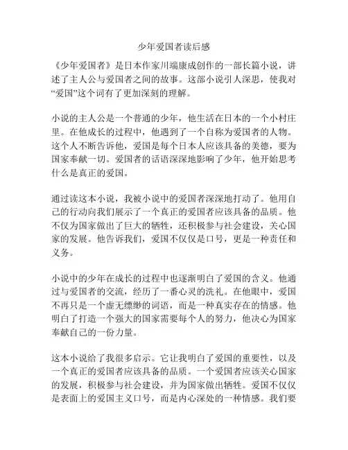 少年爱国者读后感