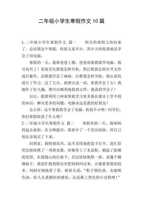 二年级小学生寒假作文10篇