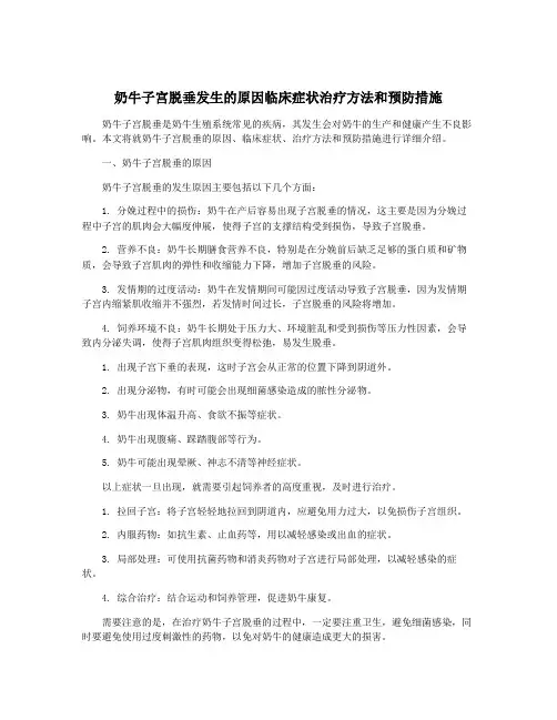 奶牛子宫脱垂发生的原因临床症状治疗方法和预防措施