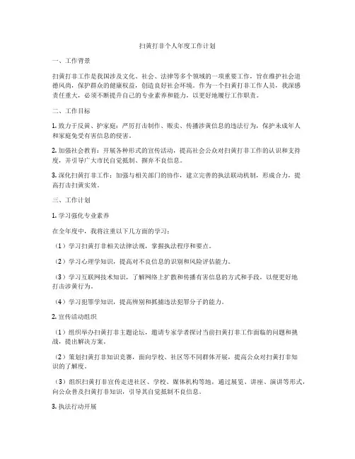 扫黄打非个人年度工作计划