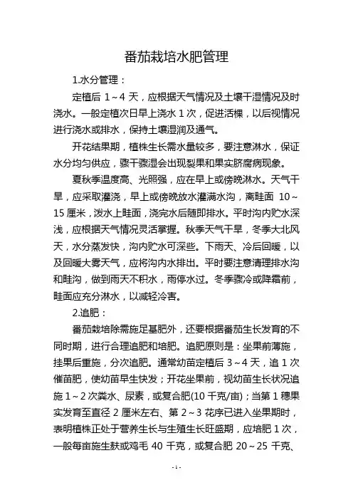番茄栽培水肥管理
