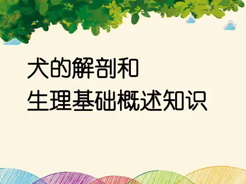 犬的解剖和生理基础概述知识