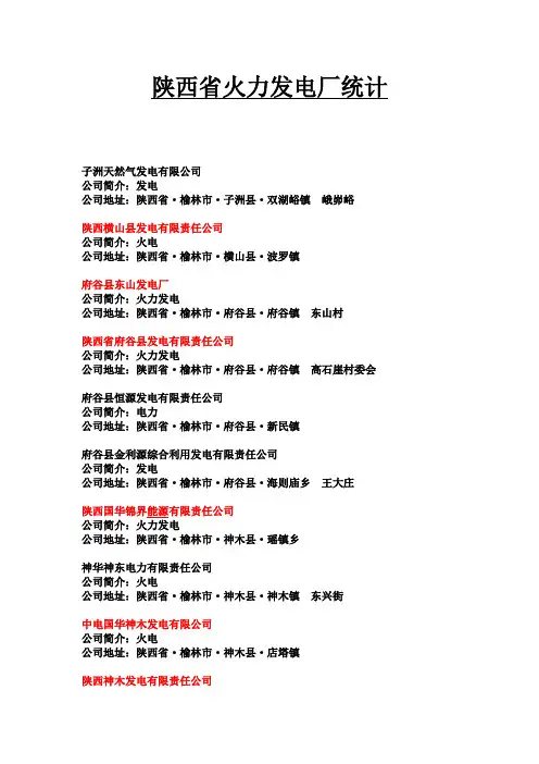 陕西火力发电厂统计