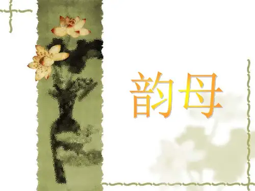 普通话韵母(一)