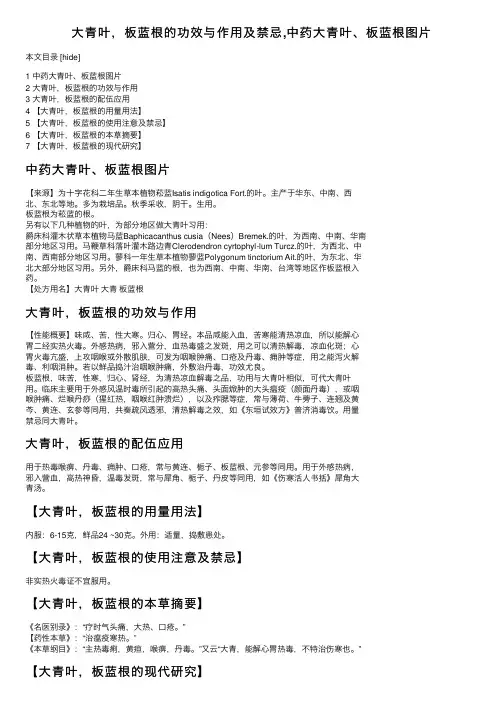 大青叶，板蓝根的功效与作用及禁忌,中药大青叶、板蓝根图片