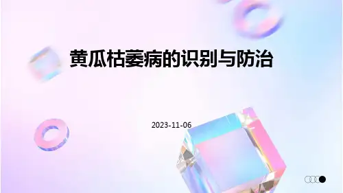 黄瓜枯萎病的识别与防治