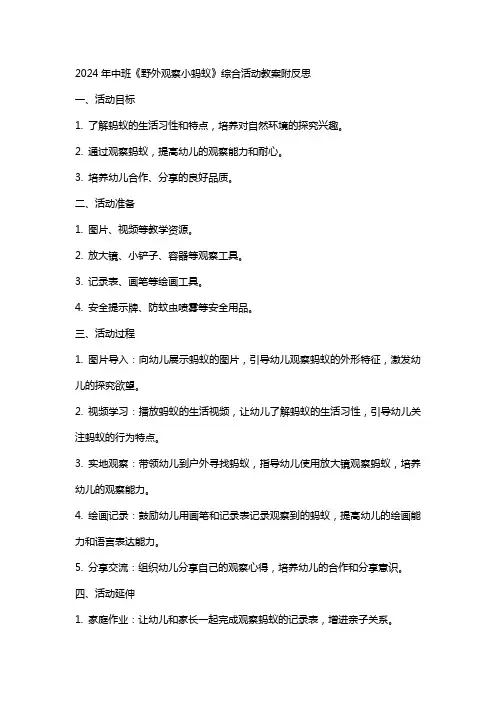2024年中班《野外观察小蚂蚁》综合活动教案附反思