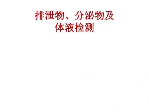 尿液检查   演示文稿