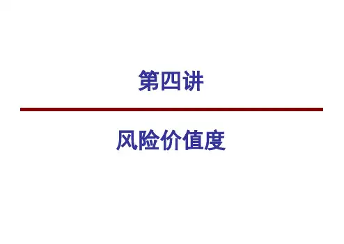 4第四讲风险价值度详解