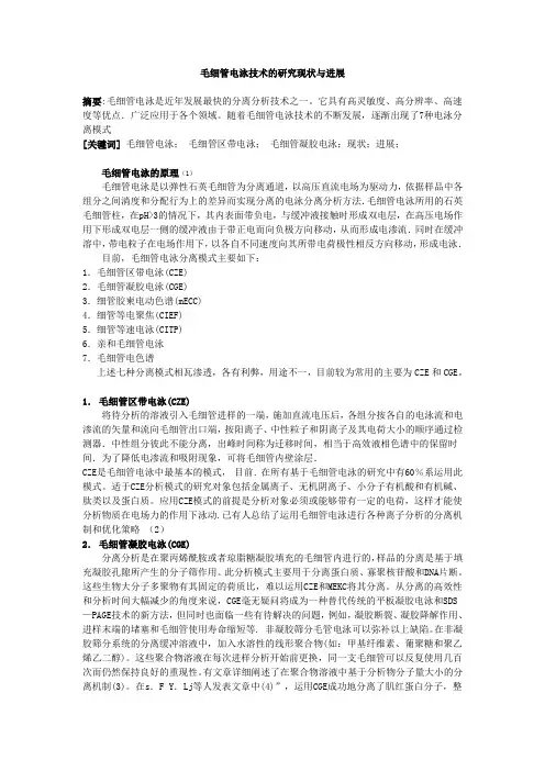 毛细管电泳技术的研究现状与进展
