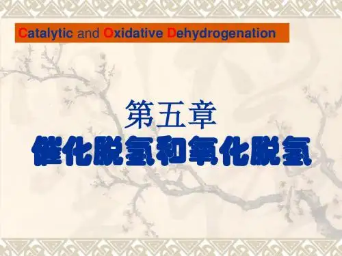 四有机化工产品加氢和脱氢