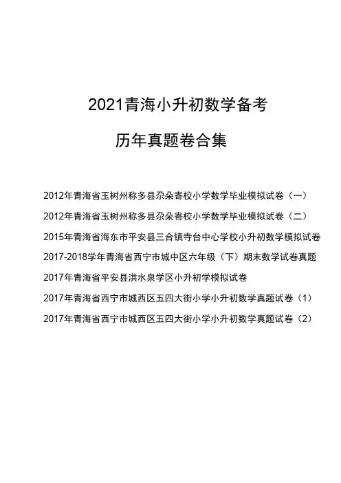 2021青海省小升初数学备考—真题卷合集