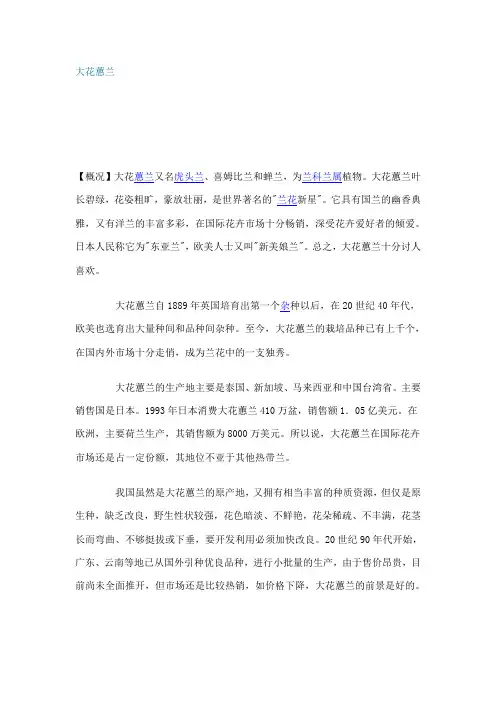 大花蕙兰(精)