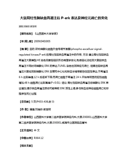 大鼠局灶性脑缺血再灌注后P-erk 表达及神经元凋亡的变化