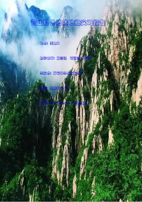 嵩山野外地质地貌实习报告