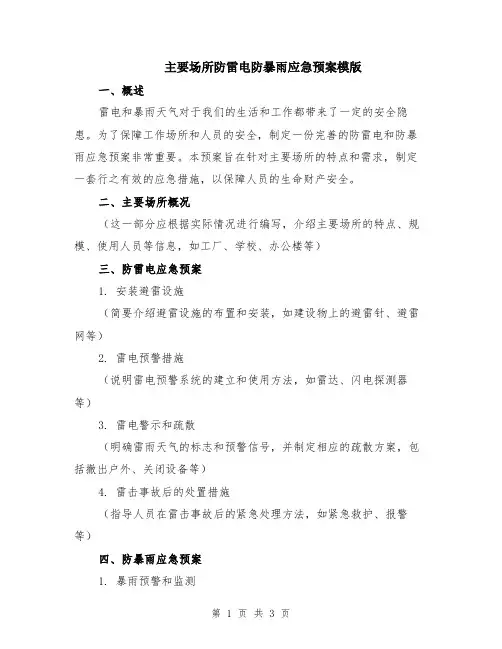 主要场所防雷电防暴雨应急预案模版