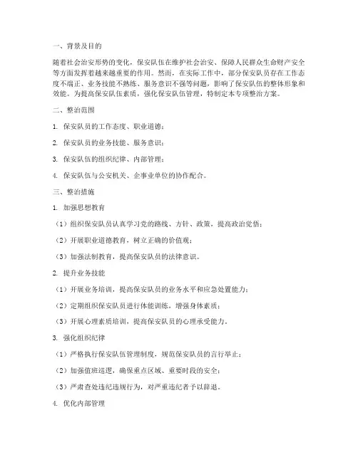 保安队专项整治方案