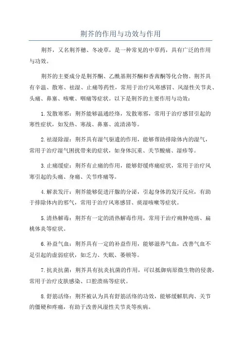 荆芥的作用与功效与作用