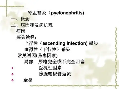 泌尿系统2(肾盂肾炎,肾C.Ca,肾母,膀胱癌)