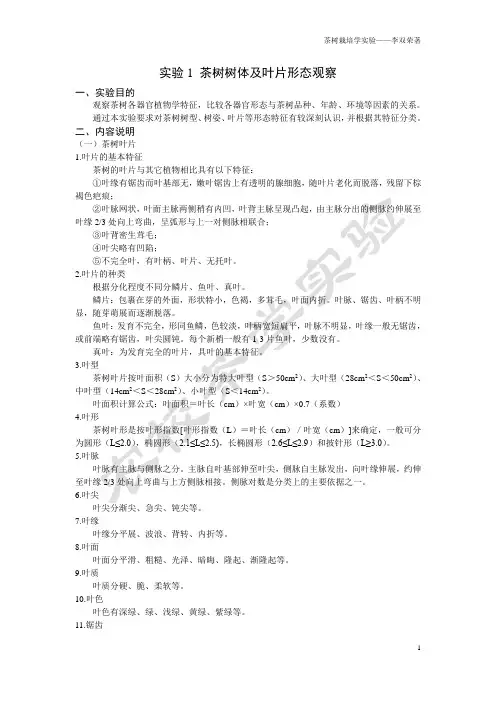 实验1 茶树树体及叶片形态观察