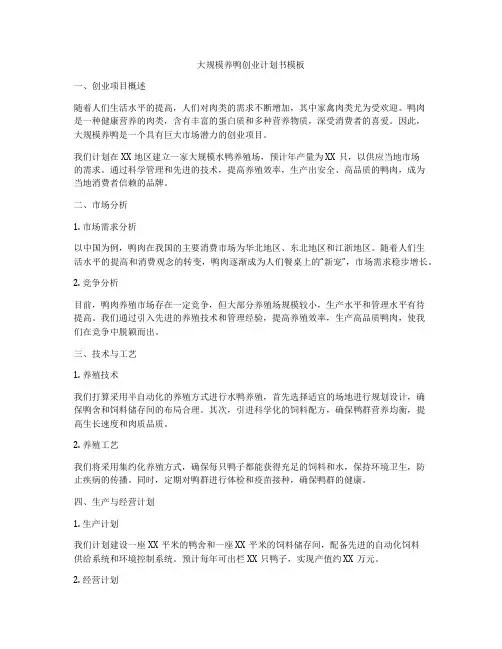 大规模养鸭创业计划书模板