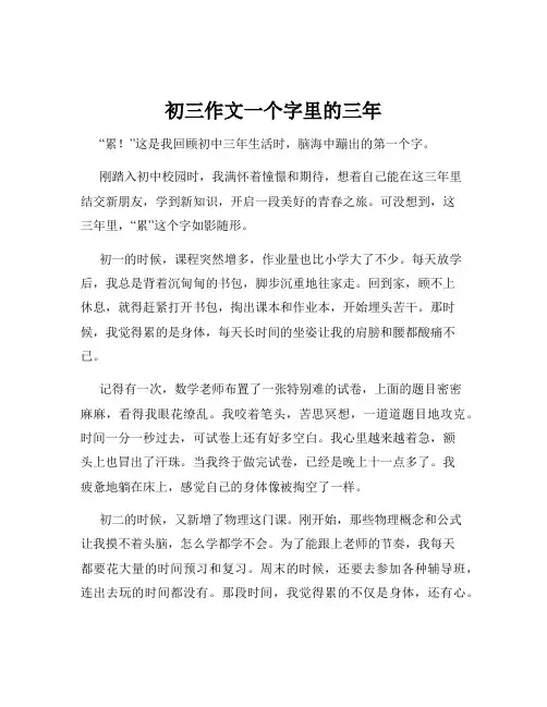 初三作文一个字里的三年
