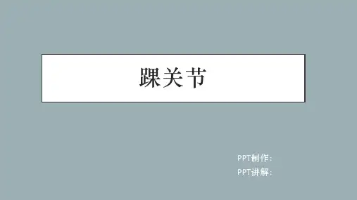 _踝关节