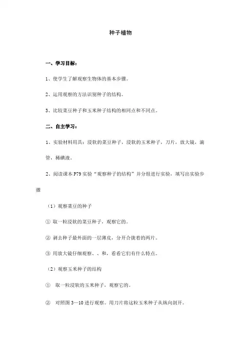人教版七年级生物上册《种子植物》教学设计
