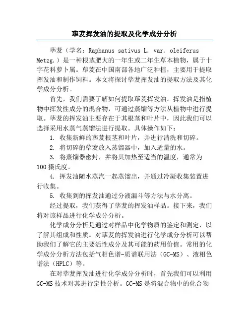 荜茇挥发油的提取及化学成分分析