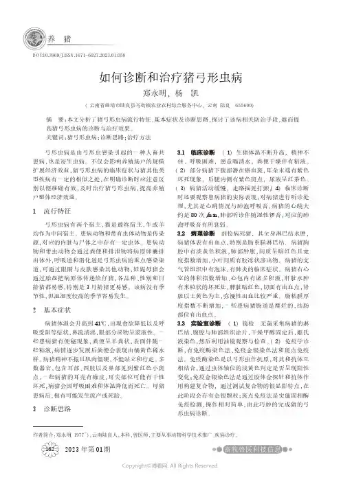 如何诊断和治疗猪弓形虫病