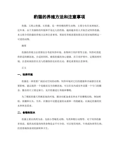 豹猫的养殖方法和注意事项