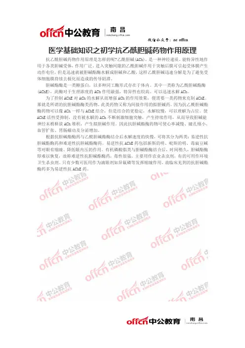 医学基础知识之初学抗乙酰胆碱药物作用原理