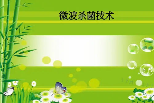 微波杀菌技术ppt课件