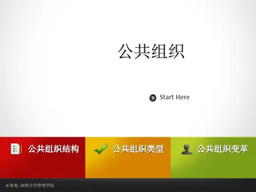 第三讲公共组织(全)案例