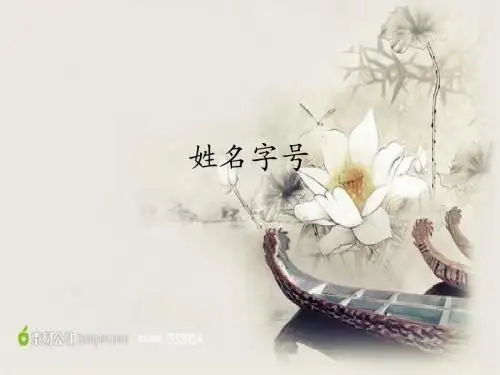 姓名字号