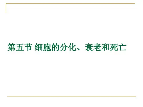 普通生物学——细胞的分化、衰老和死亡