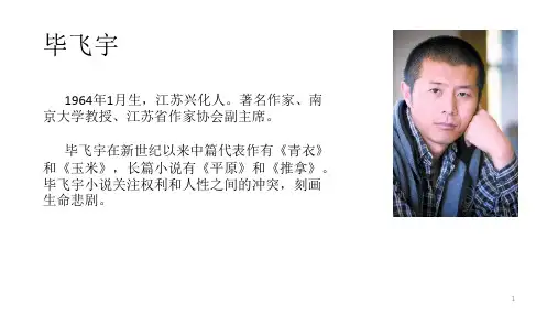 毕飞宇推拿ppt课件