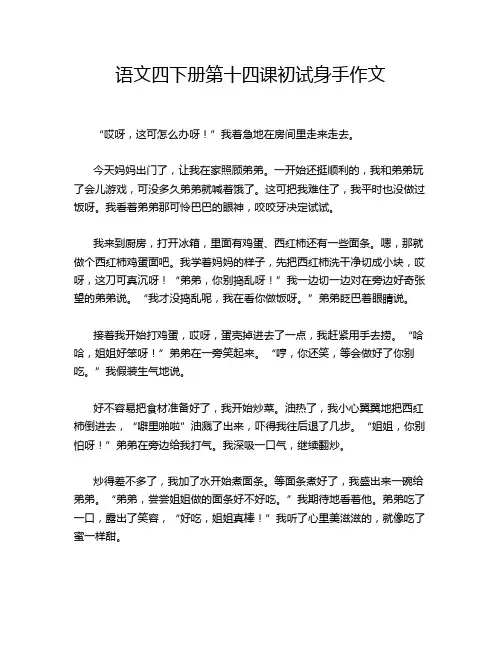 语文四下册第十四课初试身手作文