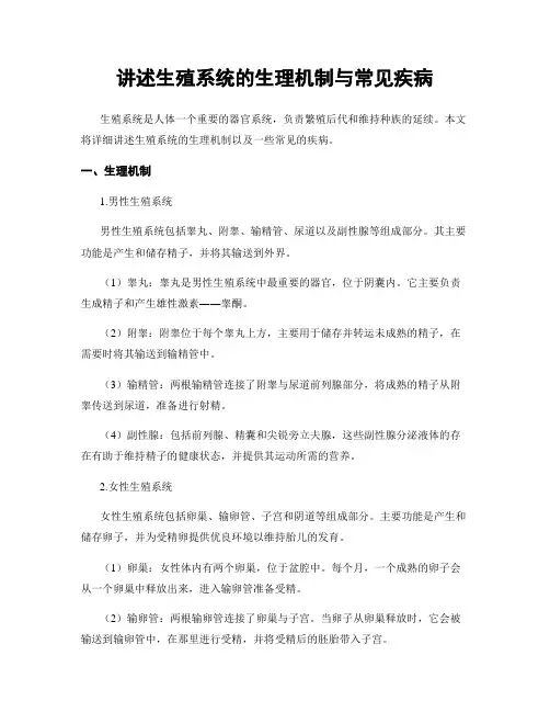 讲述生殖系统的生理机制与常见疾病