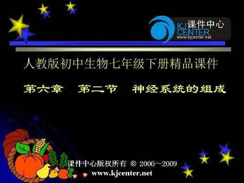 神经系统的组成