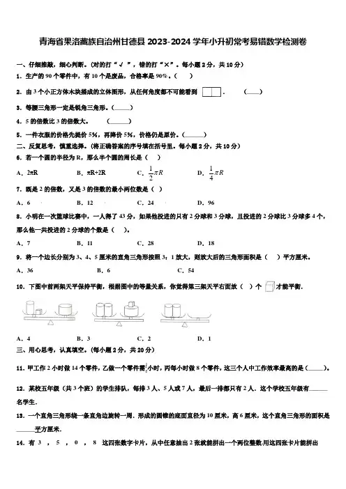 青海省果洛藏族自治州甘德县2023-2024学年小升初常考易错数学检测卷含解析
