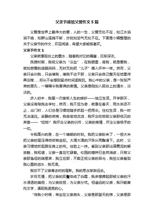 父亲节感悟父爱作文5篇