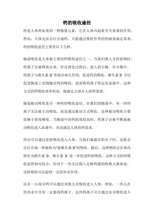 钙的吸收途径