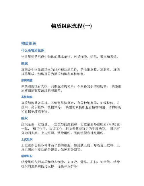 物质组织流程(一)