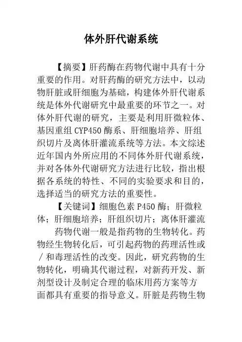 体外肝代谢系统