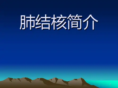 肺结核简介PPT幻灯片课件