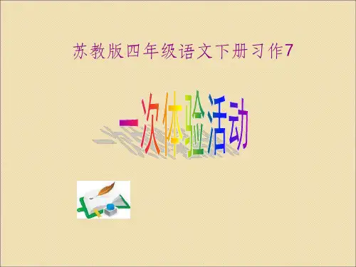 习作7一次体验活动ppt课件