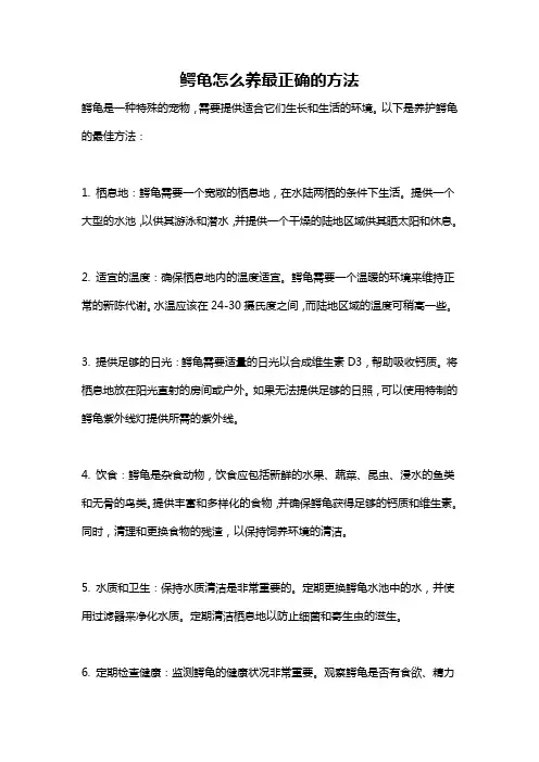 鳄龟怎么养最正确的方法